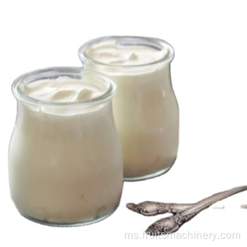 Peralatan pemprosesan yogurt kecil